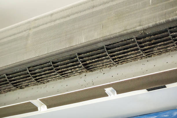 Best Air Duct Cleaning Near Me  in Lorton, VA