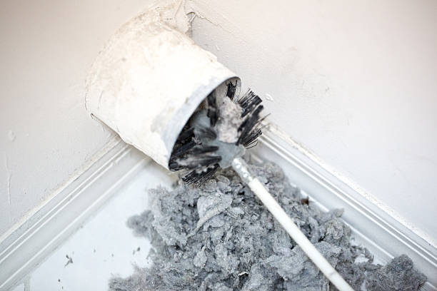 Best Air Quality Test  in Lorton, VA